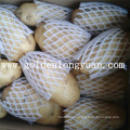 Exportando Padrão Qualidade Fresh Holland Batata De China